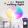 Smart WiFi RGB LED Ceiling Light