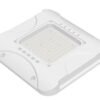 图100 第39页 forever light ltd 2026