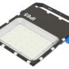图119 第46页 forever light ltd 2026