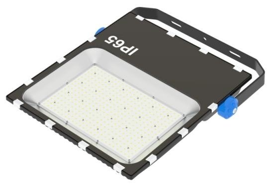 图119 第46页 forever light ltd 2026