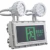 图60 第18页 forever light ltd 2026