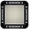 图83 第31页 forever light ltd 2026