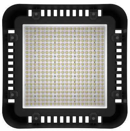 图83 第31页 forever light ltd 2026