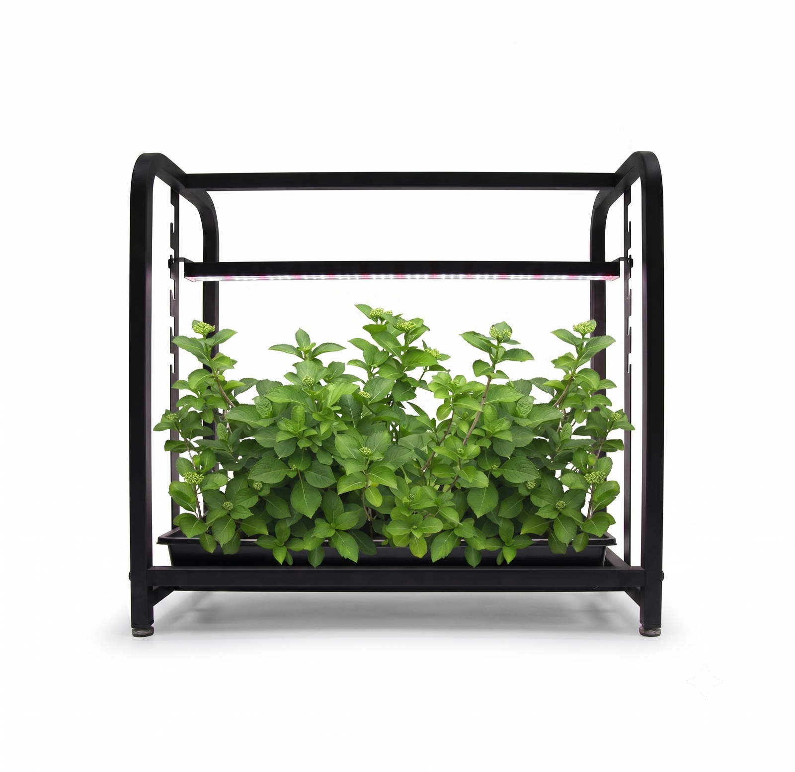 youbeelight 1020 grow light stand (16 72w)