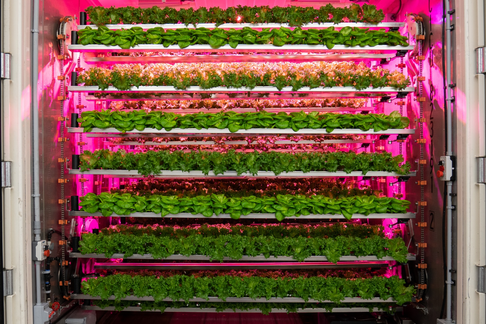 Indoor vertical farming system with LED grow lights - multi-layer cultivation