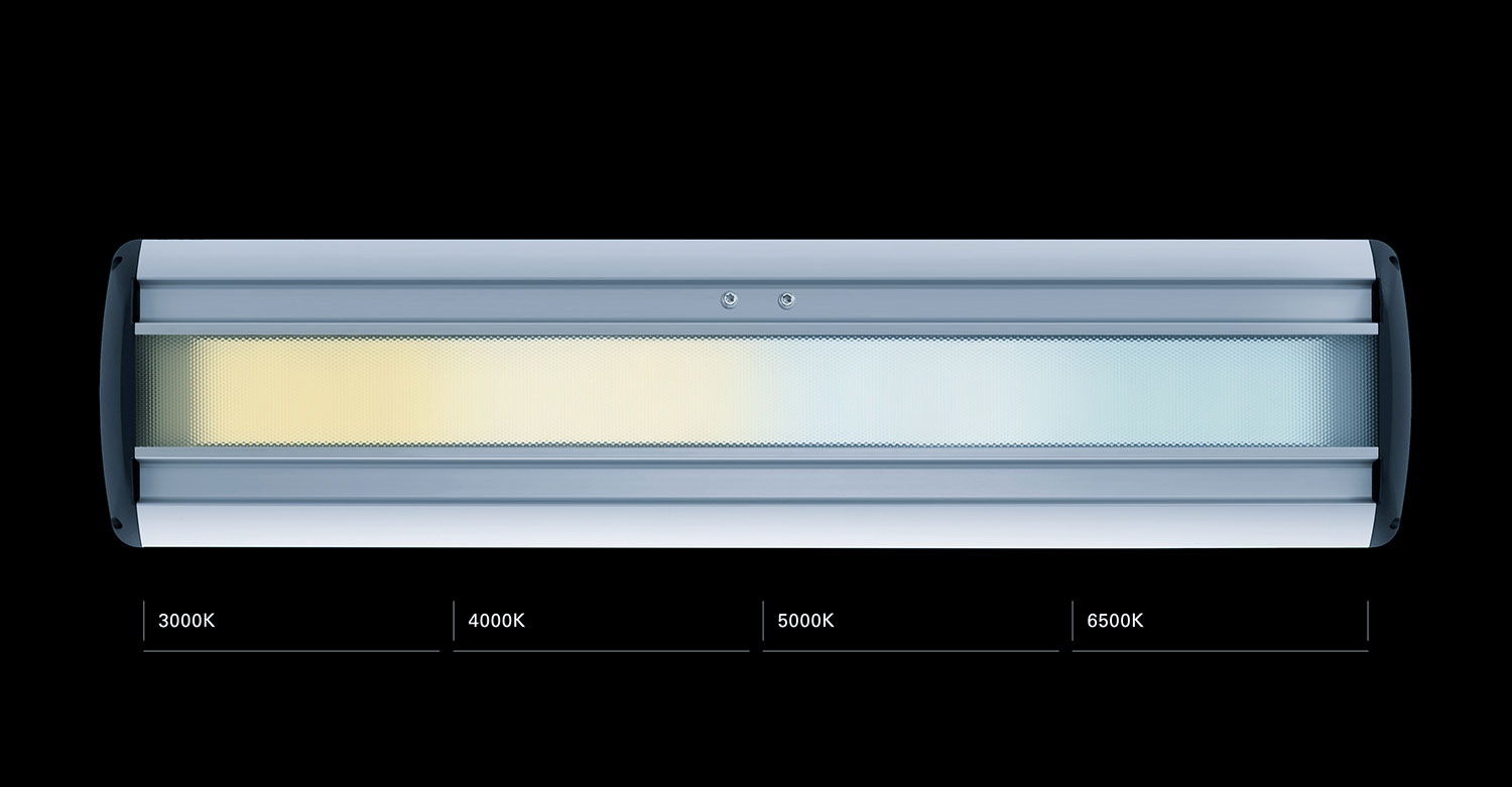 Tunable white LED fixture with color temperature scale