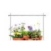 YOUBEELIGHT Height Adjustable Tabletop Grow Light (18W)
