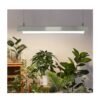 YOUBEELIGHT LED Grow Light Bar (20-72W)