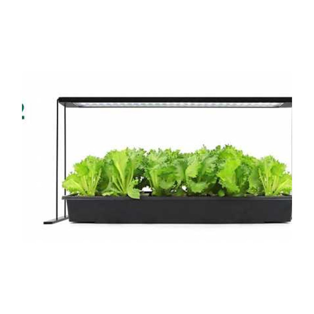 YOUBEELIGHT Tabletop Grow Light Series (5-16W)