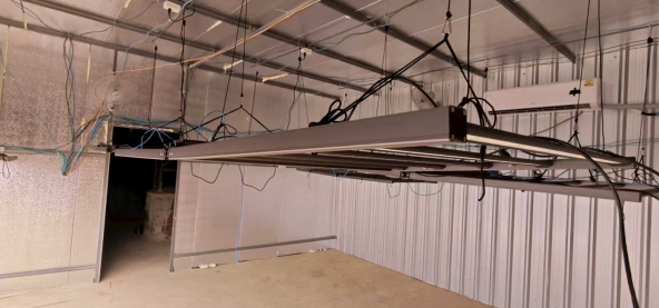 Real Application - Grow Room Installation