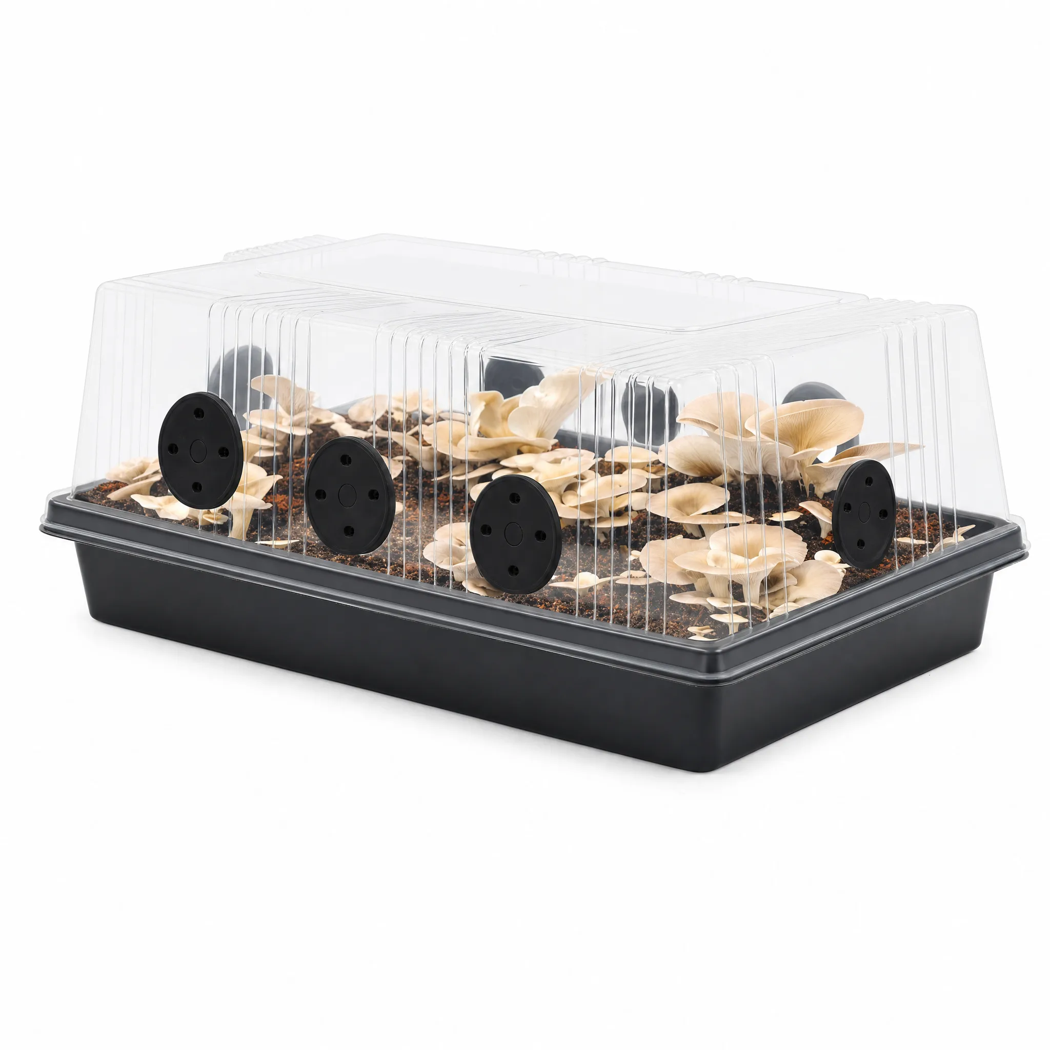 youbeelight seed starting kit