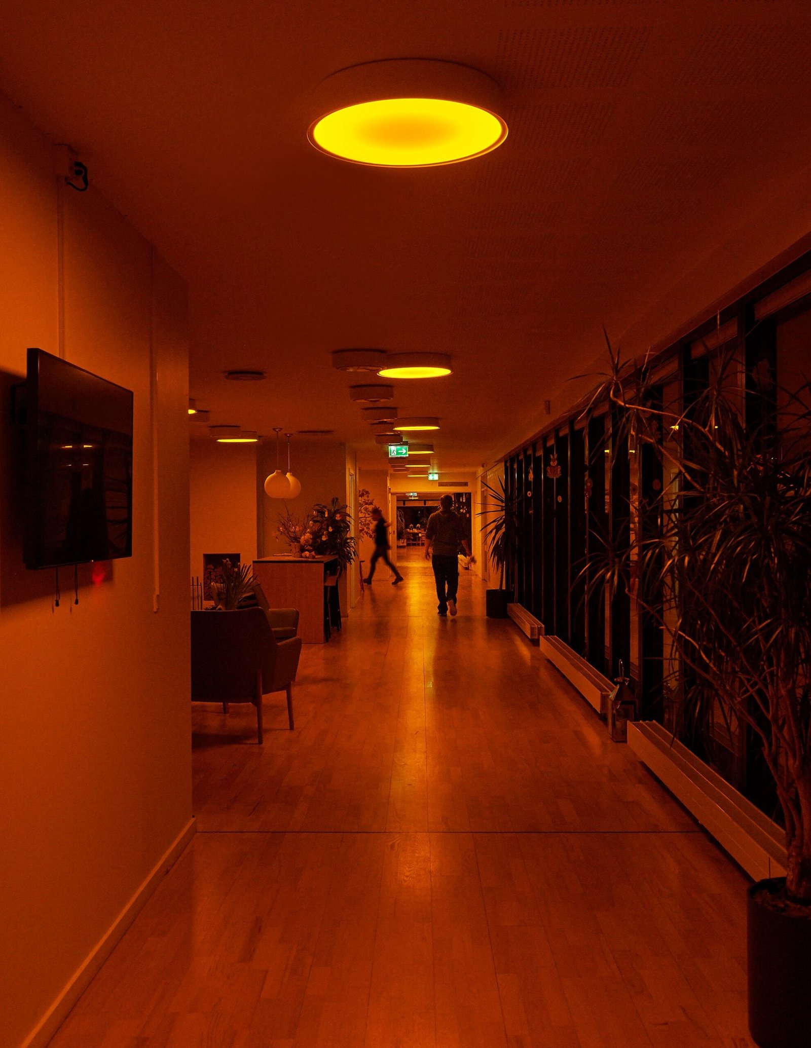 Long senior living community corridor at night with warm yellow circular pendant lights along the ceiling, wood-look flooring, black framed glass partitions and green plants along one side, and two residents walking slowly in the distance